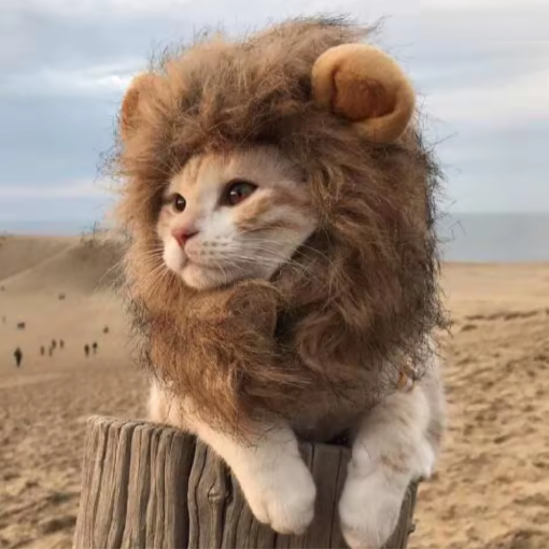 Lion Mane Wig for Cat Costume Pet Adjustable Washable