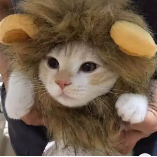 Lion Mane Wig for Cat Costume Pet Adjustable Washable