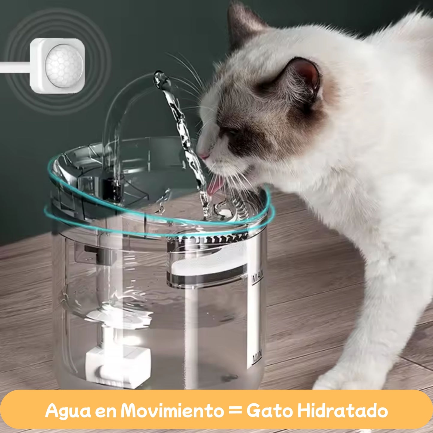 Fuente Inteligente de Agua para Gatos