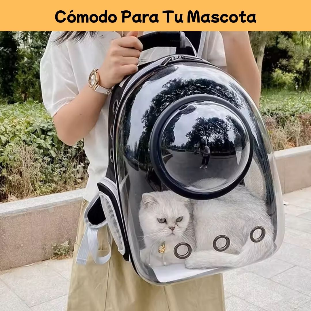 Mochila Capsula Para Mascotas