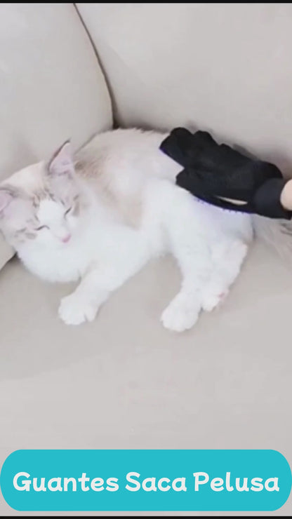 Guantes Saca Pelusa